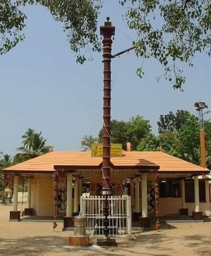 Founder Chairperson - Dr. Jill Rene Wood